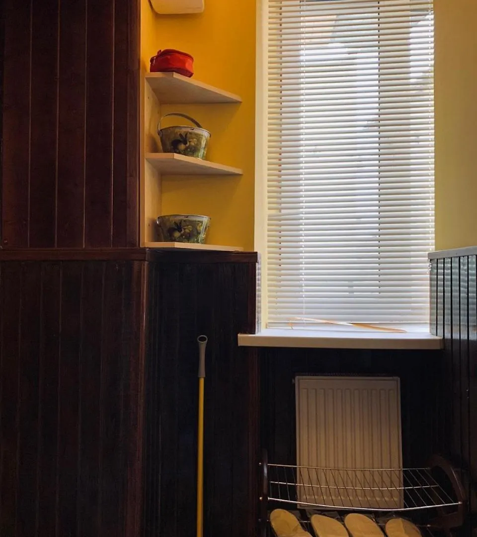 Modern Chaikovskogo Apartment Lviv Ukraine